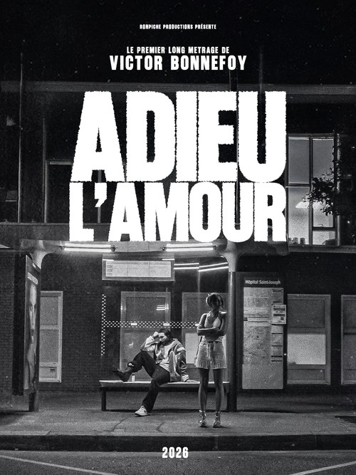 Adieu L'Amour poster