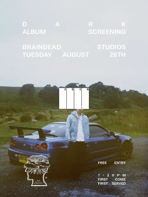 Dark Visual Experience poster