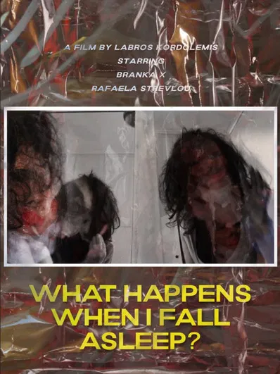 What Happens When I Fall Asleep? poster