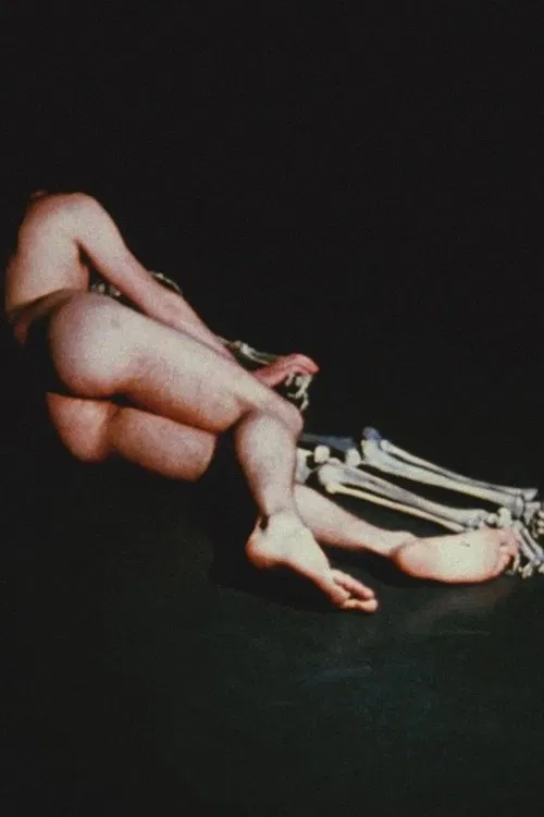 The Mysteries poster