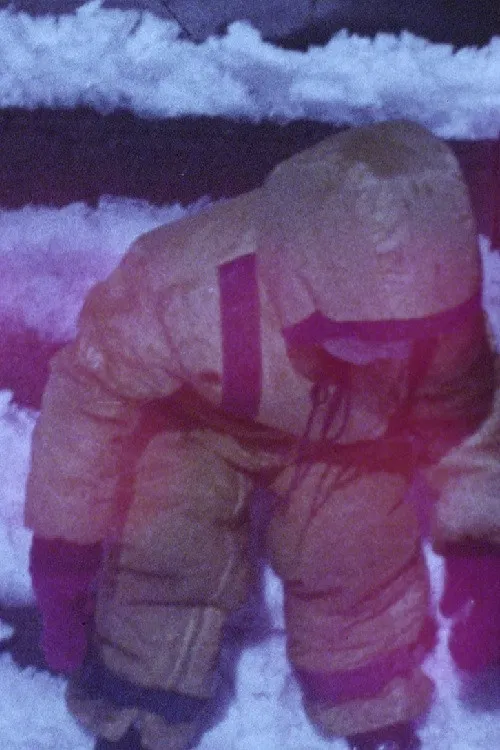 Diary 1974-1975 poster