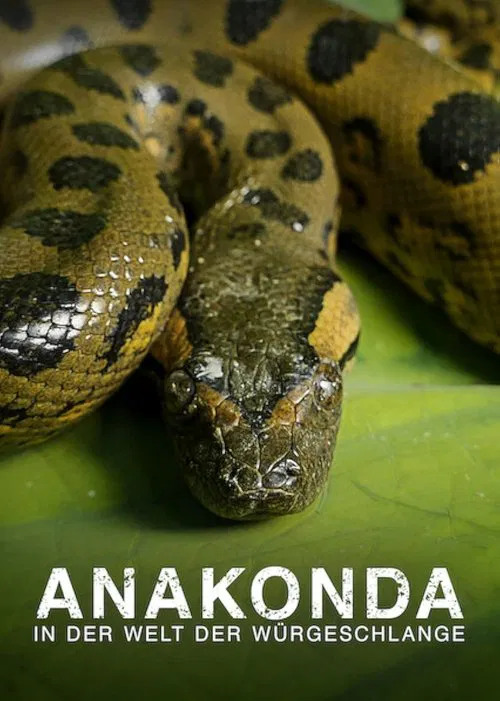 Anaconda: Silent Killer poster
