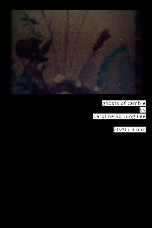 ghosts of cambie poster