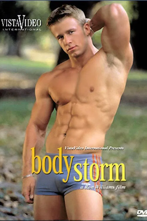 Body Storm poster