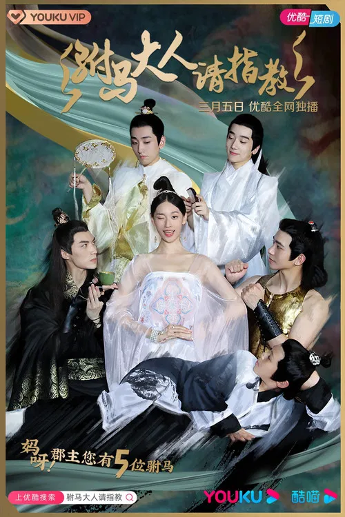 Princess! You have Five Husbands! poster