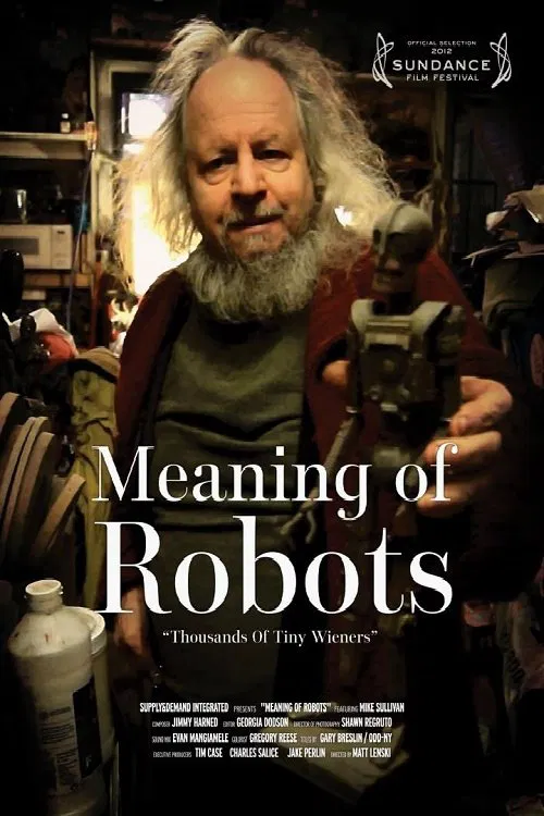 Meaning of Robots poster