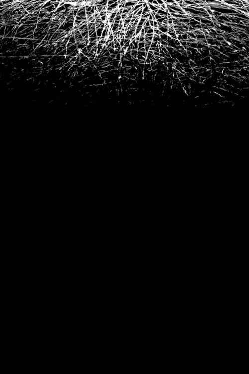 For When I Think, There is This Heaviness That I Would Rather You Not Carry poster