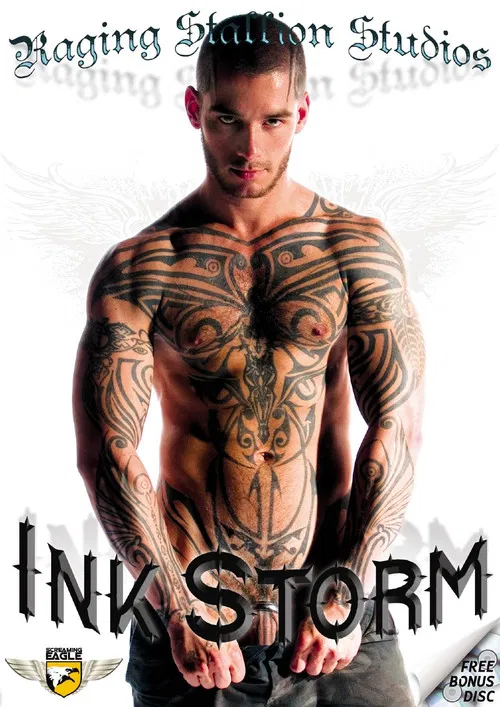 Ink Storm poster