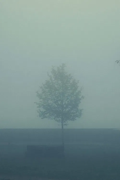 Great Are the Eyes of a Dead Father poster