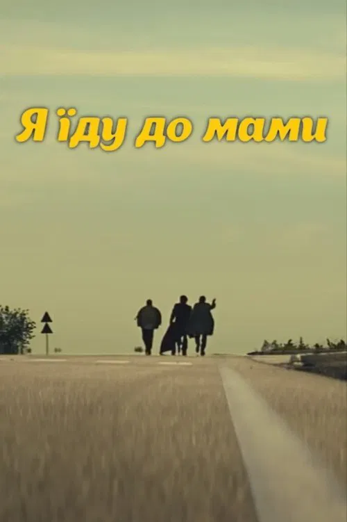 DZIDZIO: I'm going to my mom poster