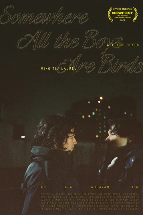 Somewhere all the boys are birds poster