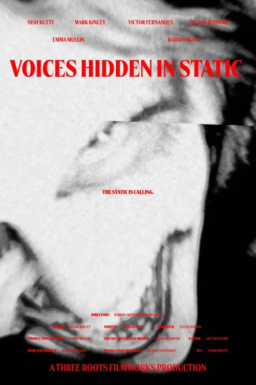 Voices Hidden in Static poster