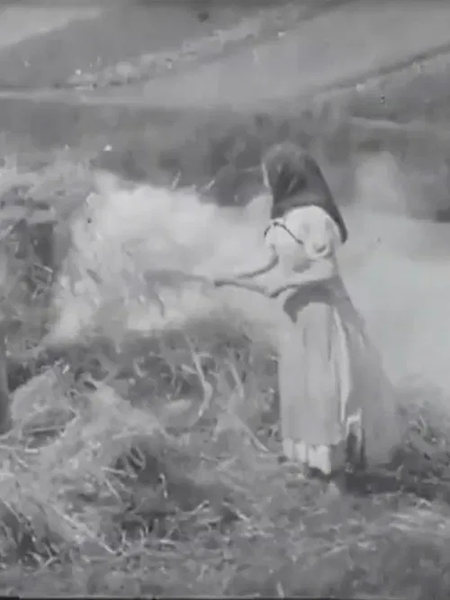 Brûleuses d'herbes poster