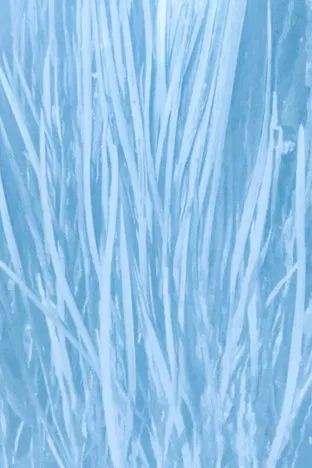 Our Watery Selves poster