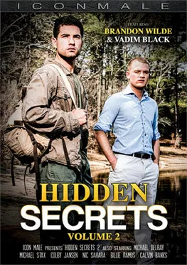 Hidden Secrets 2 poster