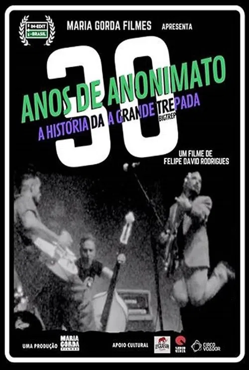 30 Anos de Anonimato poster