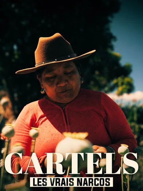 Les vrais Narcos poster