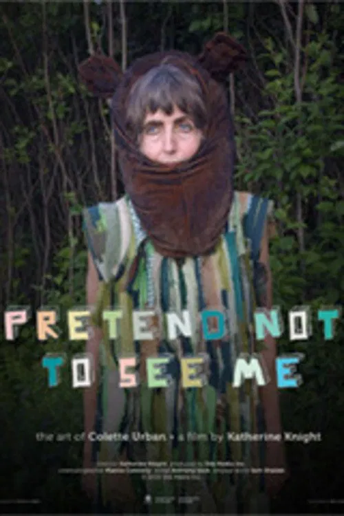 Pretend Not to See Me poster