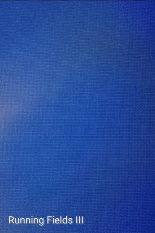 Running Fields III poster