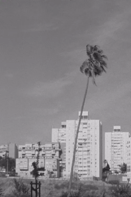 Thirteen Ways of Looking at a Blackbird poster