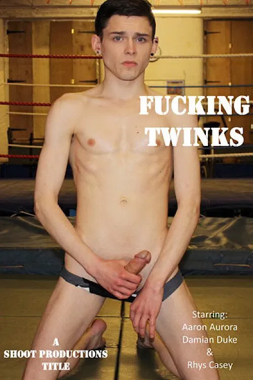 Fucking Twinks poster