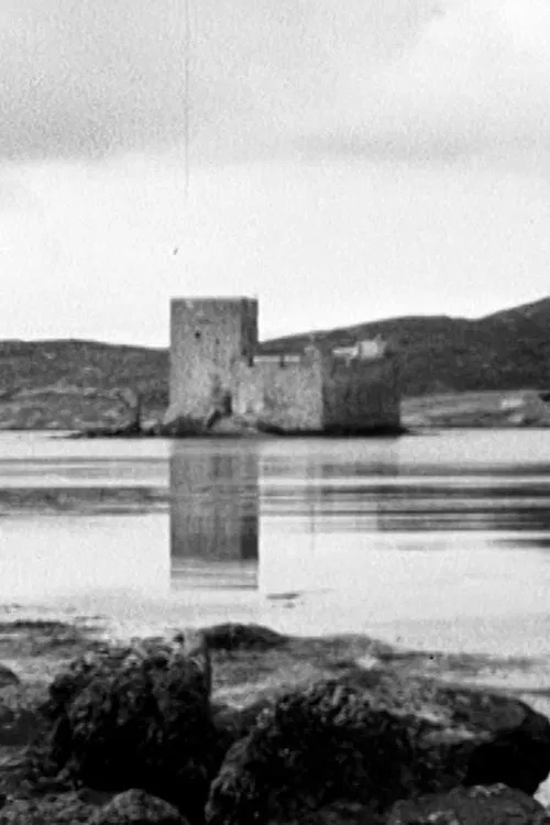 The Disappearing Island poster