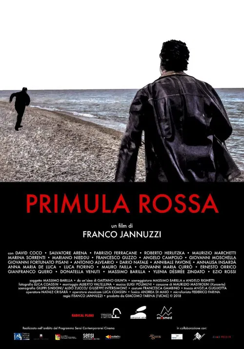 Primula Rossa poster