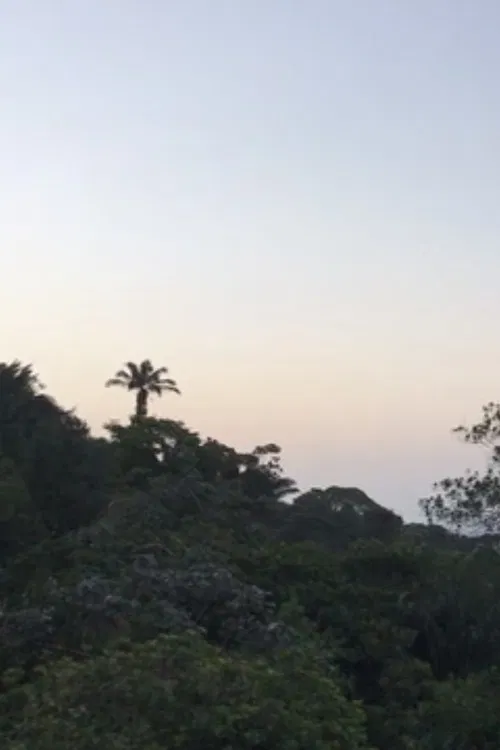 new moon love poster