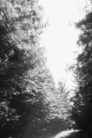 Parallel North poster