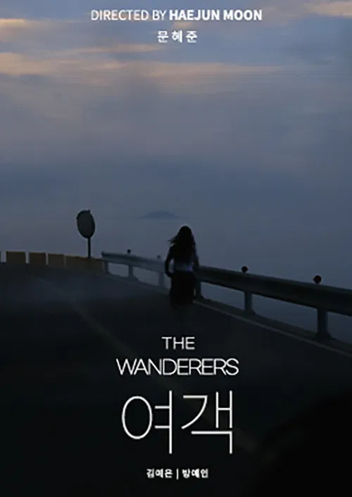 The Wanderers poster