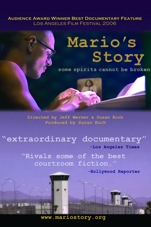 Mario's Story poster