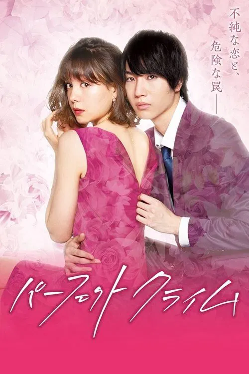 Perfect Crime poster