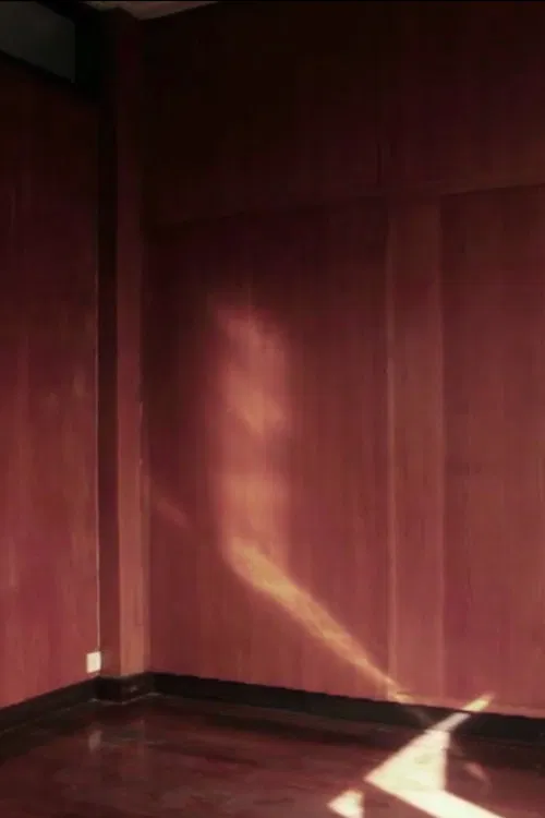 Passing Through the Night poster