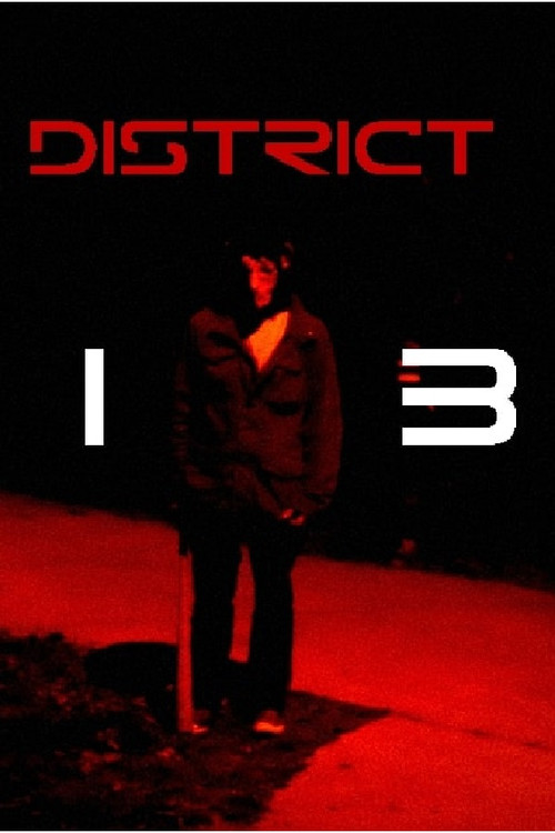 District 13 poster