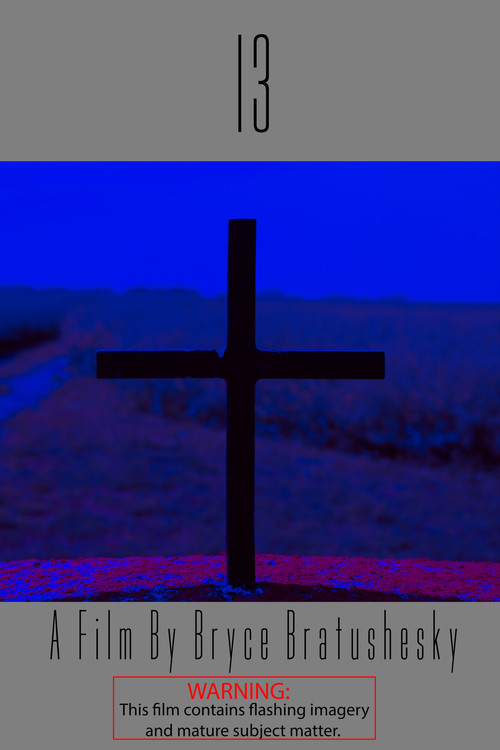 13 poster