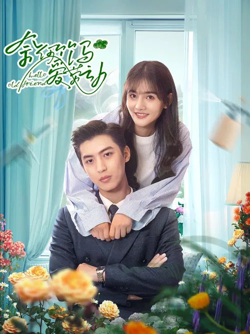 Hello Old Friend poster