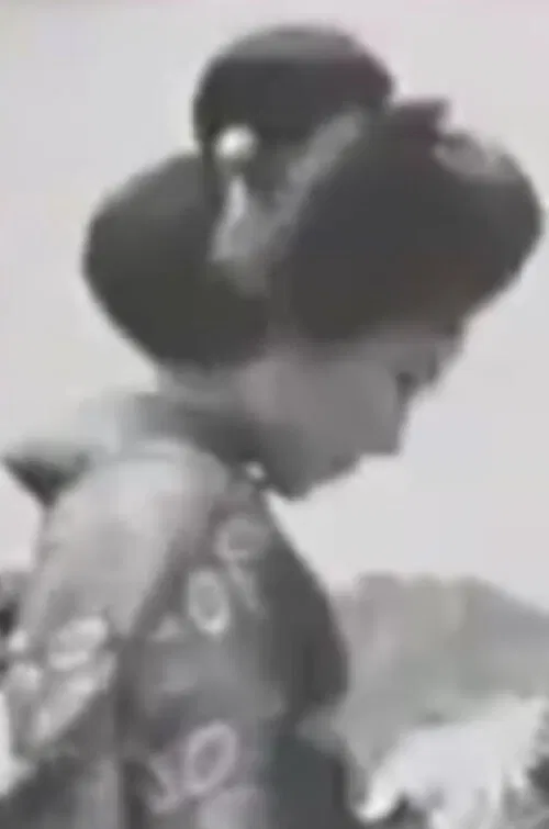 Flowers Blooming In the Storm poster