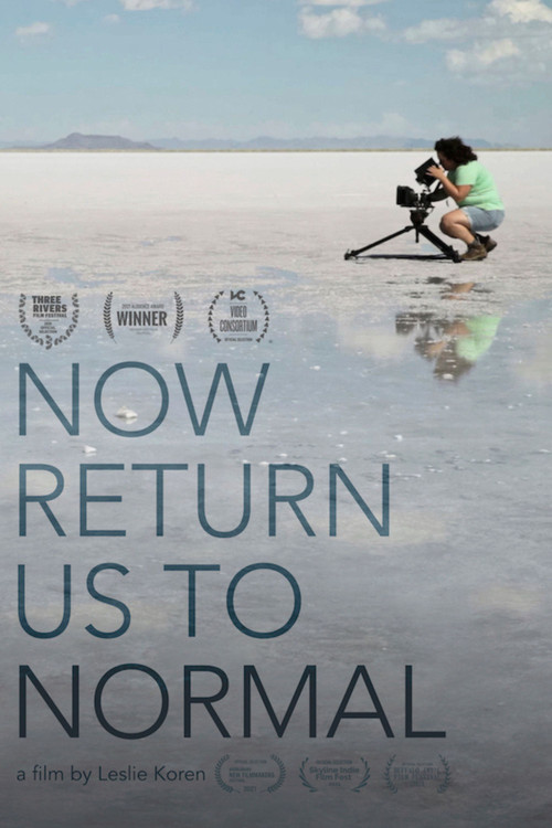 Now Return Us To Normal poster