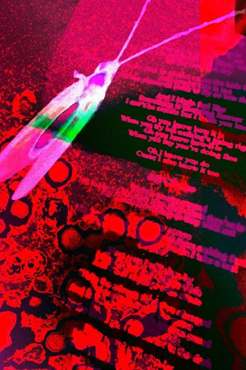 Observações do Dr. Cânhamo poster