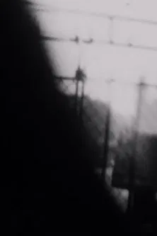 Double Shutter poster