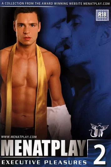 Executive Pleasures 2 poster