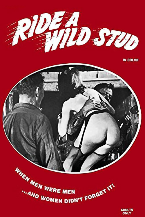 Ride a Wild Stud poster