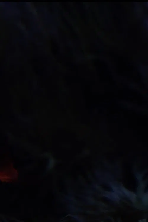 The Butterfly poster