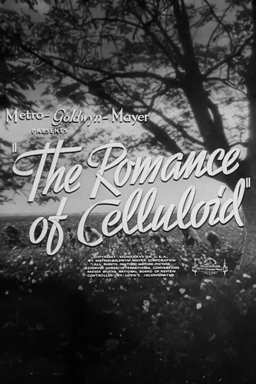 The Romance of Celluloid poster