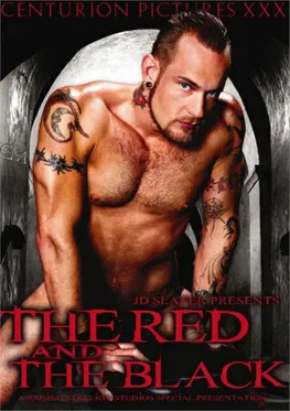 The Red and the Black poster