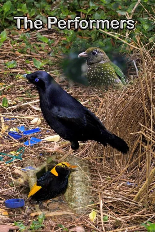 The Performers poster