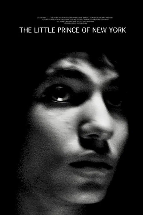 The Little Prince of New York poster