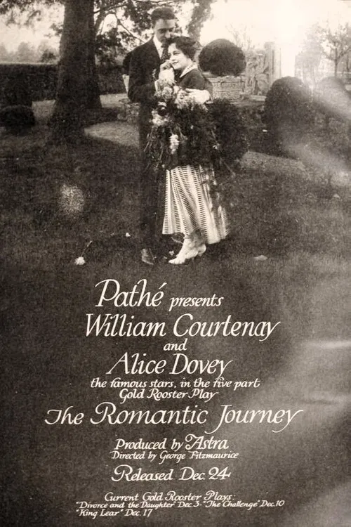 The Romantic Journey poster