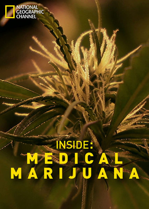 Inside: Medical Marijuana poster