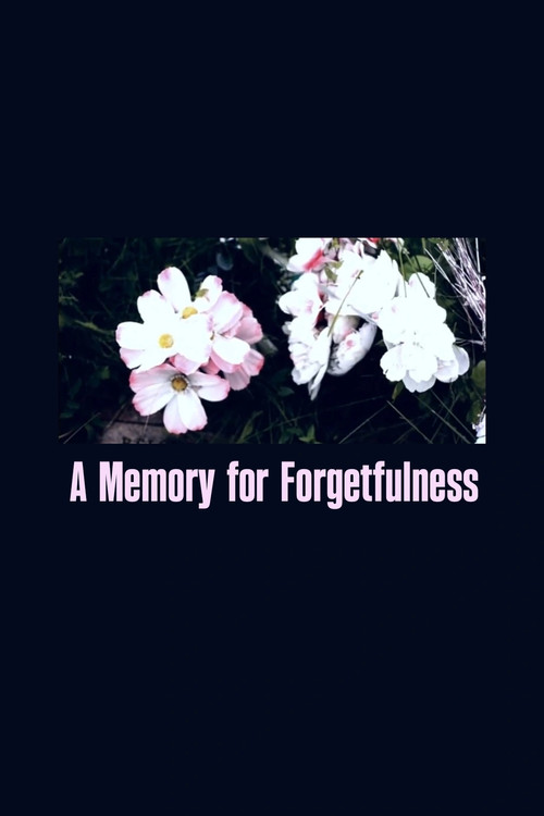 A Memory For Forgetfulness poster